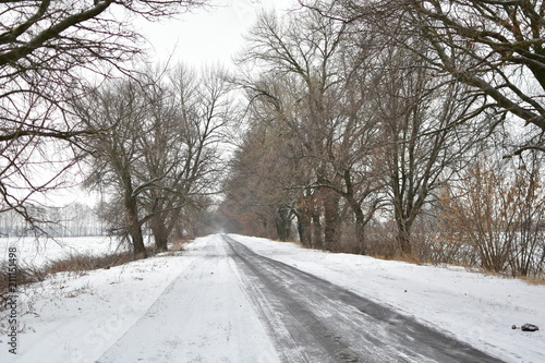 the road in winter on a cloudy day © kunetsSCG