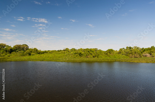 Beautiful image of the Brazilian wetland, region rich in fauna and flora.