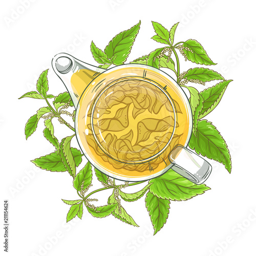 nettle tea illustration
