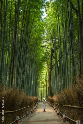 Woman at the Bamboo forest, Japan