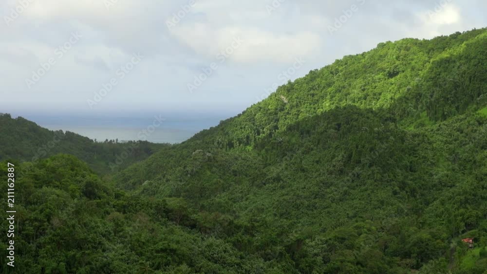 Still: Everlasting Beauty of Green Nature at Rarotonga Still: Everlasting Beauty of Green Nature at Rarotonga