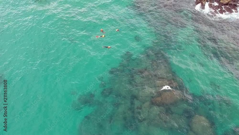Aerial Pan Top View of People Snorkeling Aerial Pan Top View of People Snorkeling