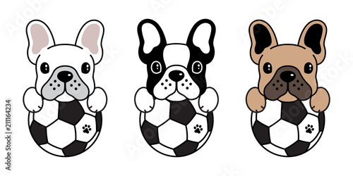 dog vector french bulldog icon logo cartoon soccer football fifa illustration symbol