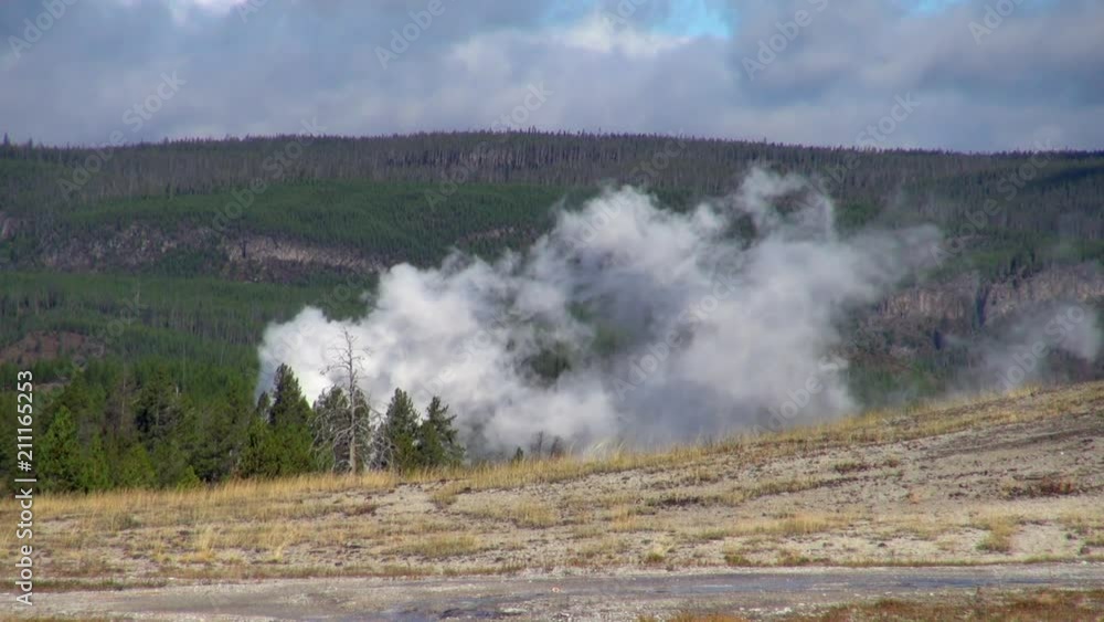 Wide Shot of Geyser at Yellowstone National Park Wide Shot of Geyser at Yellowstone National Park