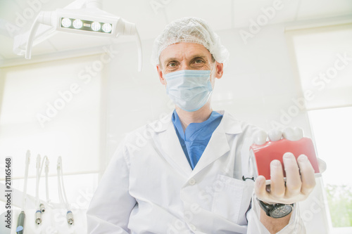 doctor dentist holds in his hand the layout of the teeth