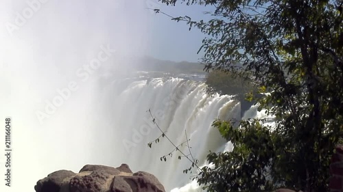 Wide: Plants, Mist and Victoria Falls, Africa photo