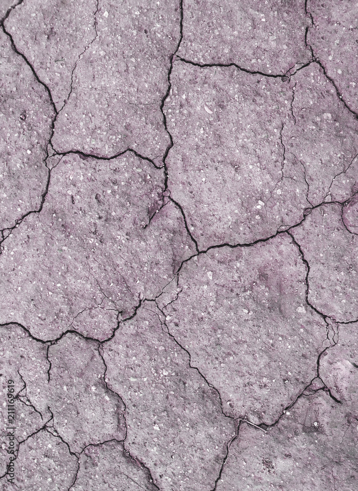 Obraz premium Seamless cracked paint grunge background, texture, an old board with peeling paint. Hard, deep, tought craquelure on the paint. Painted rustic panel. For design, web, sites, interior, toned purple