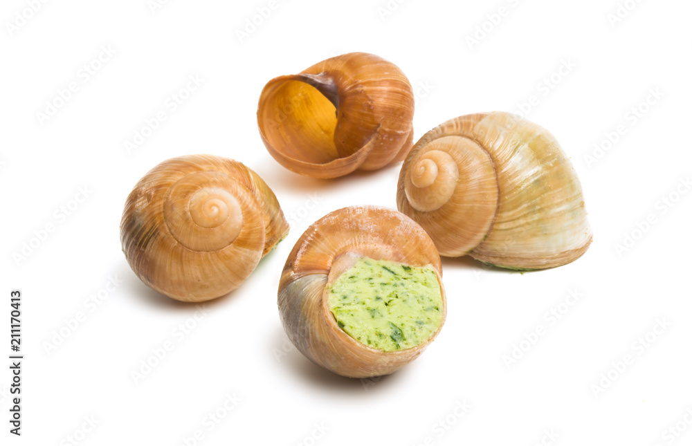 stuffed snail isolated stuffed snail isolated
