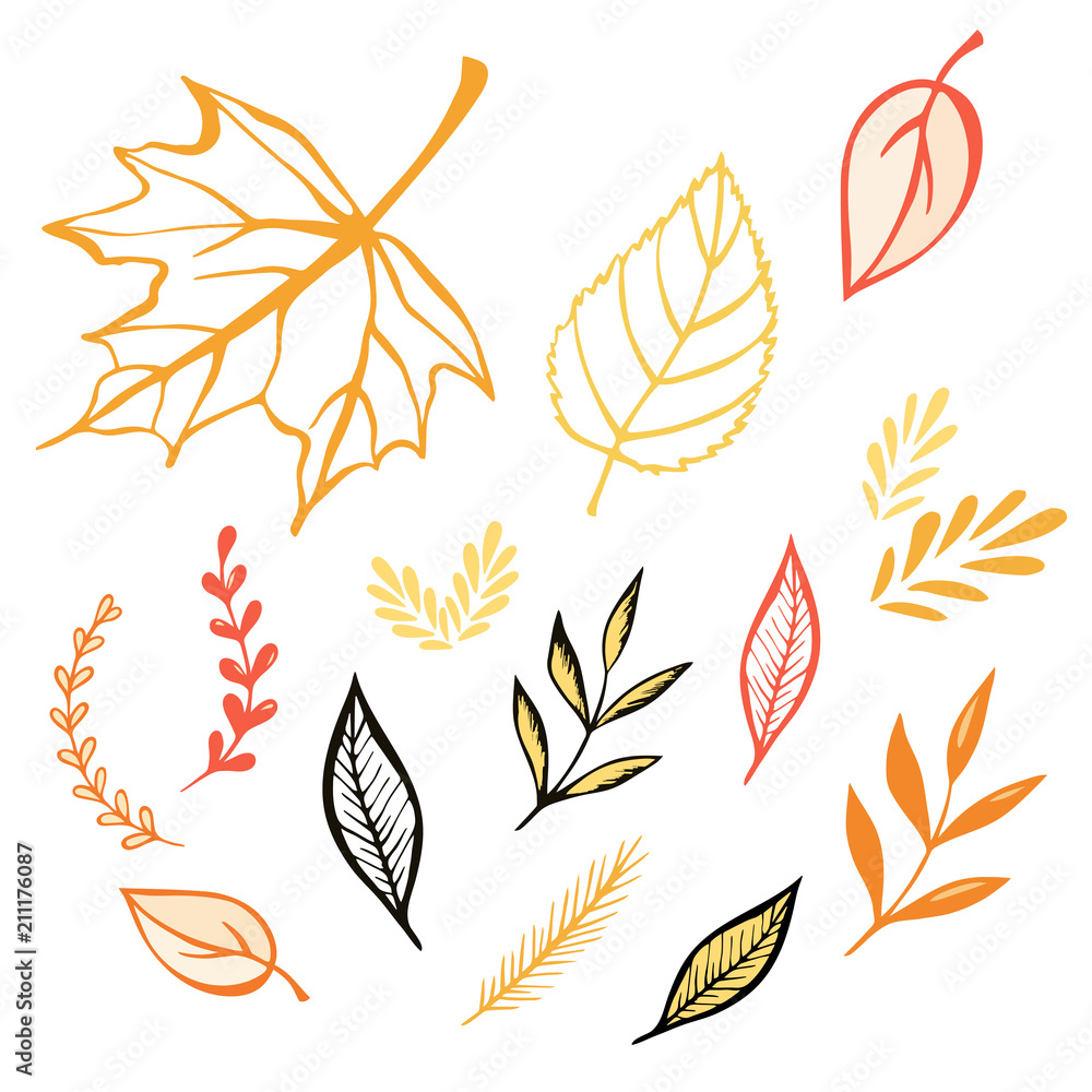 Hand drawn autumn set of leaves. Objects isolated on white. Autumn, fall vector illustration. Contour outline sketch