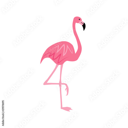 Pink flamingo isolated on white background