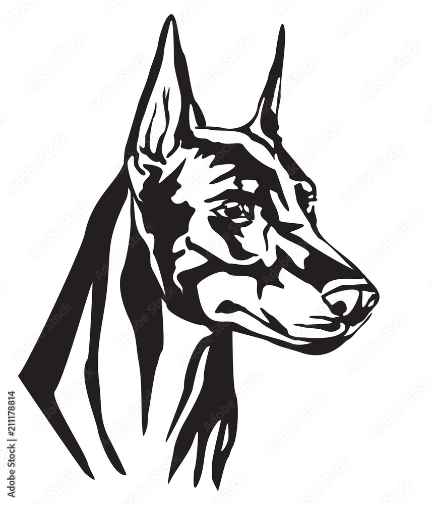 Decorative portrait of Dog Dobermann vector illustration