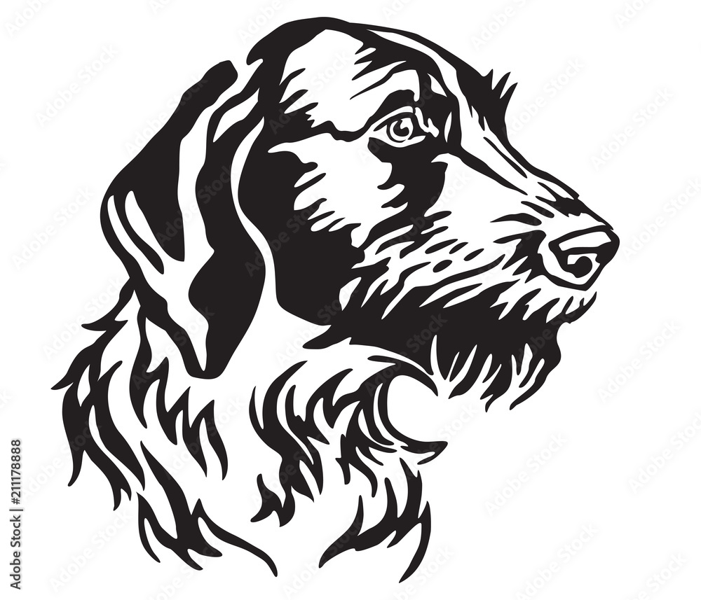 Decorative portrait of Dog German Wirehaired Pointer vector illustration Decorative portrait of Dog German Wirehaired Pointer vector illustration