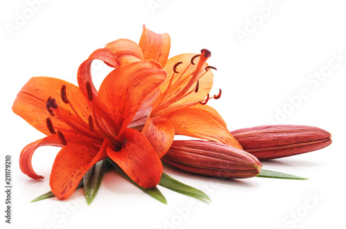Bouquet of orange lilies.