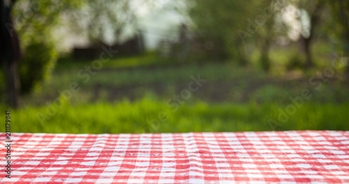 Obraz na plátně picnic table in the garden - summertime