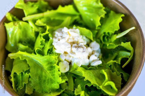 Bowl with green lettuce with cottage cheese.