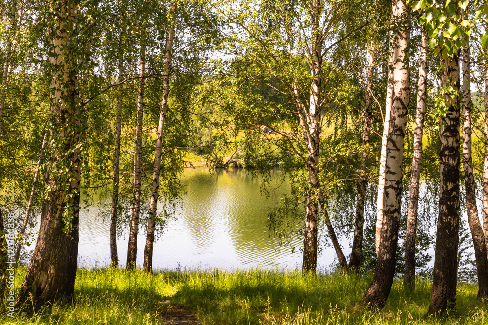 cendrowski pond on a Sunny day cendrowski pond on a Sunny day