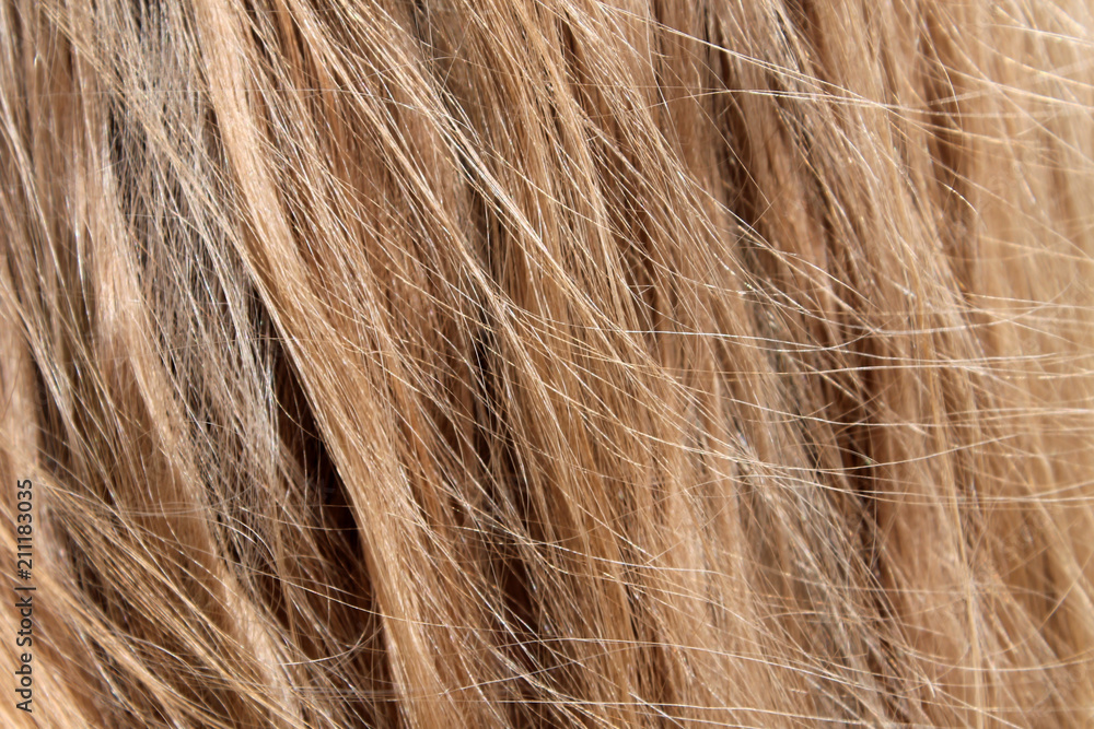 Naklejka premium Blond hair texture, background