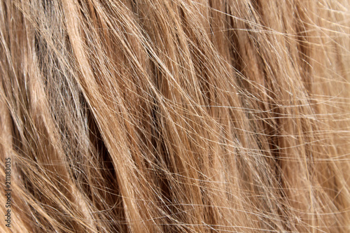 Blond hair texture, background