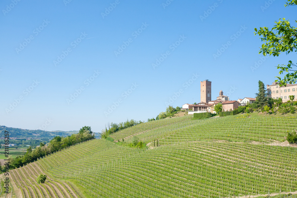 Barbaresco town view, Langhe, Italy
