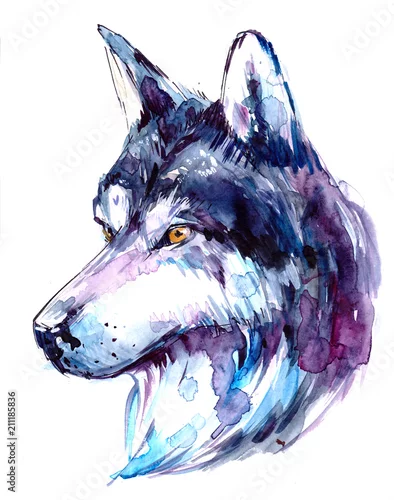 Naklejka na ścianę Akwarela Wilk