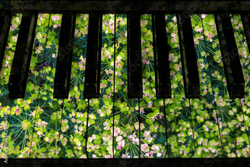 Piano keys in the decor of spring and flowers