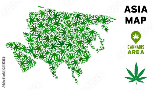 Ganja Asia map composition of marijuana leaves. Narcotic addiction template. Vector Asia map is formed of green cannabis leaves. Abstract territory plan in green color tints.
