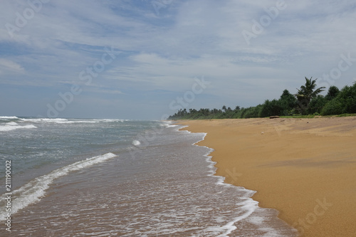 Tropical sandy beach in Sri Lanka