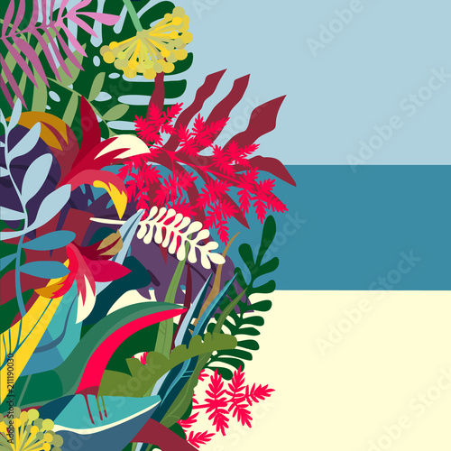 Tropics