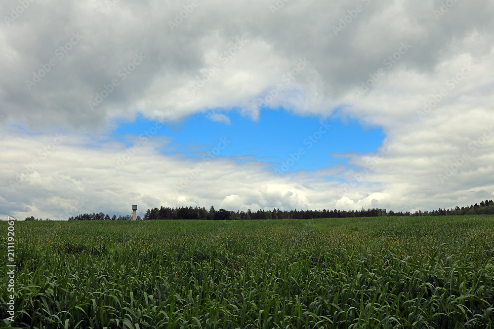 cultivated fields cultivated fields