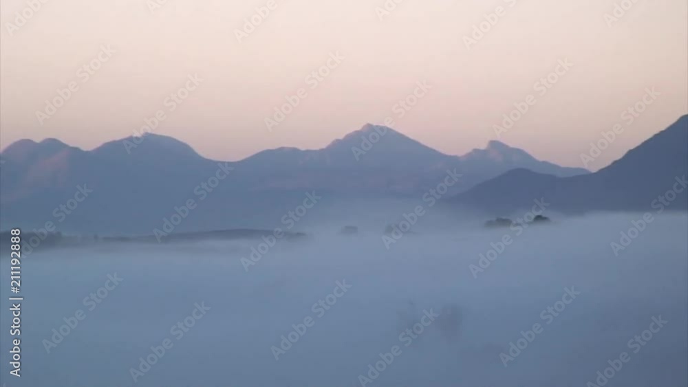 Zoom-Out: Deep Fog Over South African Forest Zoom-Out: Deep Fog Over South African Forest
