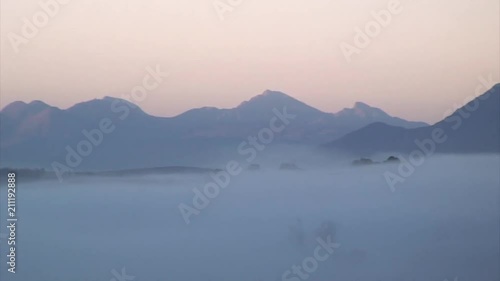 Zoom-Out: Deep Fog Over South African Forest photo