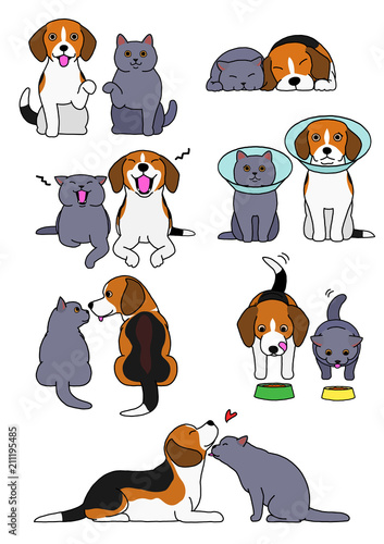 set of cat and dog pairs