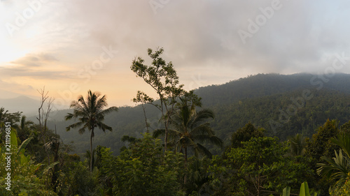 The tropical forest at sunset against the backdrop of the hills