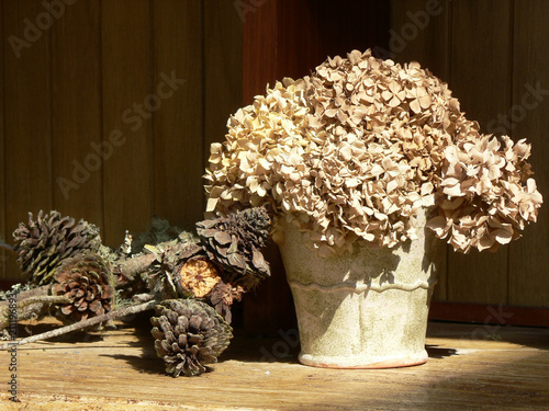 Fototapeta Naklejka Na Ścianę i Meble -  Dried Flower Still