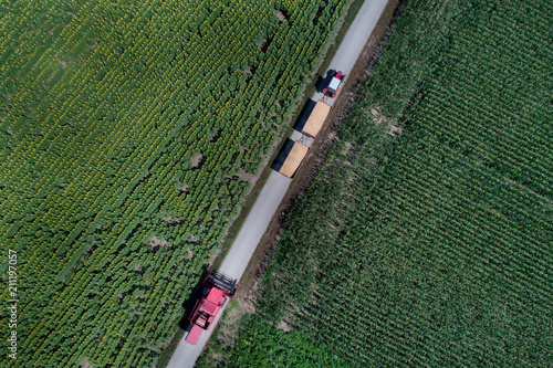 Fototapeta Naklejka Na Ścianę i Meble -  Top view of tractor and combine harvester on rural road