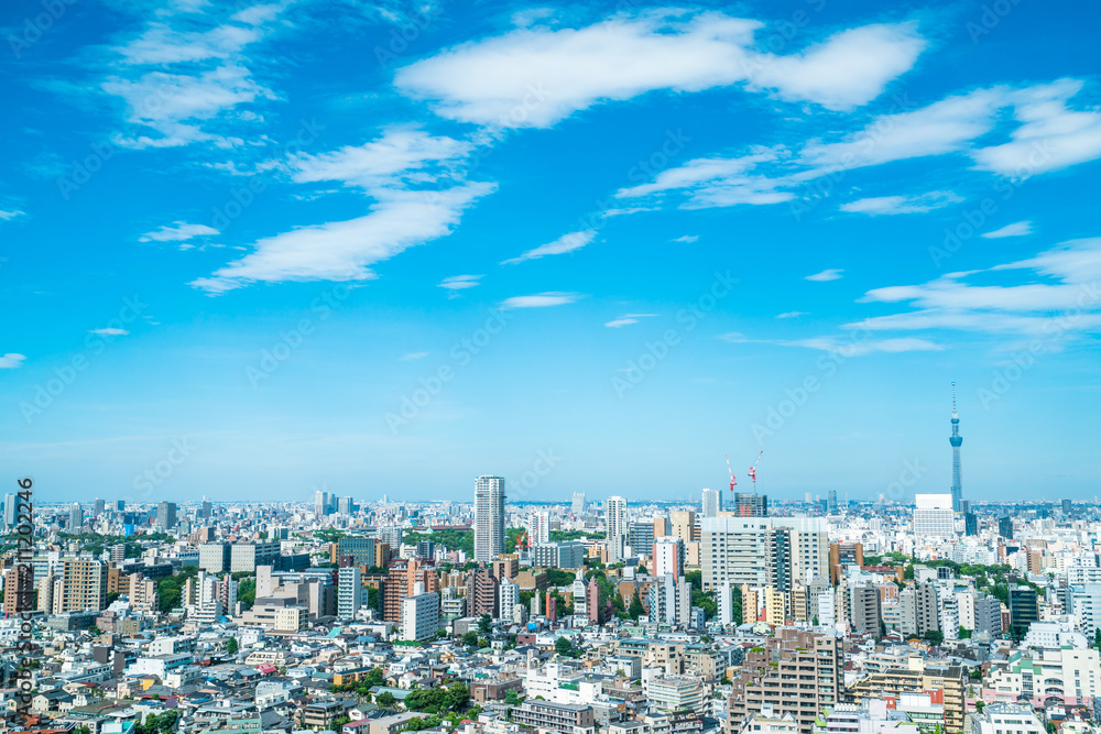 Fototapeta premium Krajobraz Tokio