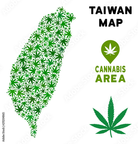 Cannabis Taiwan Island map mosaic of marijuana leaves. Narcotic dependence concept. Vector Taiwan Island map is formed of green cannabis leaves. Abstract territory scheme in green color tints. photo