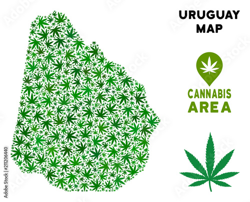Weed Uruguay map collage of marijuana leaves. Narcotic addiction template. Vector Uruguay map is made of green weed leaves. Abstract territorial scheme in green color tones.