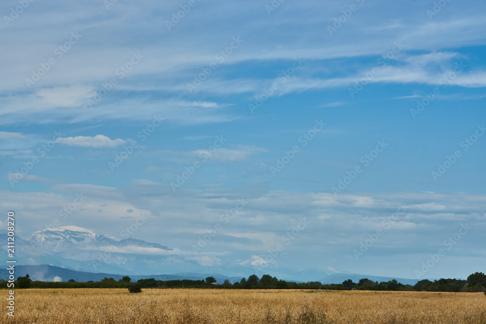 Summer Landscape with Wheat Field, Clouds and mountains 