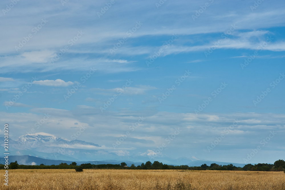 Summer Landscape with Wheat Field, Clouds and mountains Summer Landscape with Wheat Field, Clouds and mountains