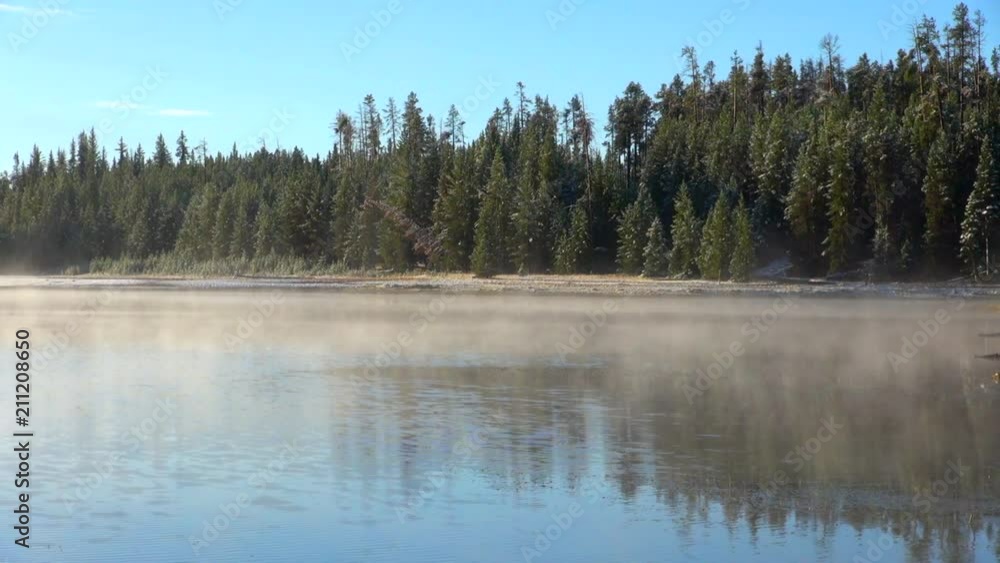 Lakeside Pine Trees Reflected On The Calm Waters Lakeside Pine Trees Reflected On The Calm Waters