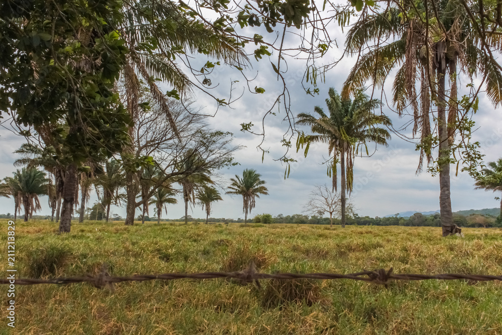 beautiful landscape in venezuela