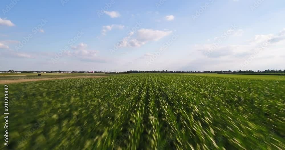 Flyover Cornfield On A High Speed Flyover Cornfield On A High Speed
