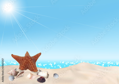 Seashells on Seashore - Bea...