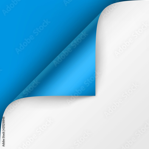 Vector Curled corner of White paper with shadow Mock up Close up Isolated on Bright Blue Background