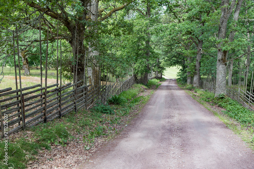 straight gravel road with wooden fences photo
