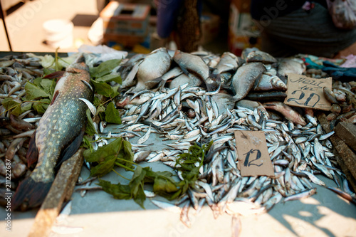 Fresh fish at the summer market stall photo