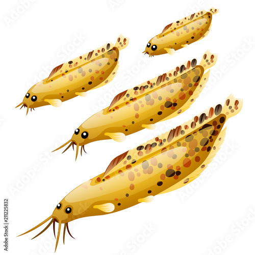 Set of cartoon fish isolated on white background. Vector cartoon close-up illustration.