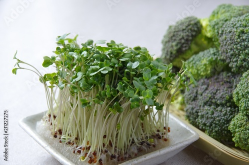 ブロッコリースプラウト　Broccoli Sprout photo