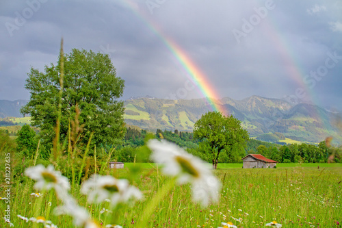 Allgäu - Regenbogen - Alpen - Blumen - Stadel